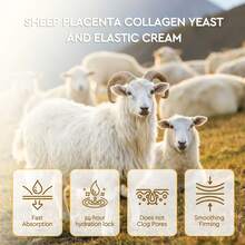 羊胎素面霜，蕴含羊胎素+胶原蛋白+植物角鲨烷，提拉紧致，改善面部皱纹、法令纹、颈纹，提亮肤色，适合熟龄肌肤，高端奢华面部护肤品 - Collagen - 查看 9