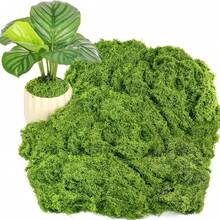 120g/50g/30g/10g Artificial Green Moss, Suitable For Indoor Potted Plants, Can Be Hung In Indoor/Outdoor Gardens, Porches, Windowsills, Flower Boxes, Home Weddings, Farmhouses, Porches, Patios, Windows, Etc. - Multicolor - View 5