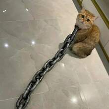 1.5m Funny Dog Leash - Giant Plastic Chain Dog Leash With Puppy Collar, Suitable For Small Dogs, Cats And Puppies - Black Funny Chain Dog Leash - Silver - View 7