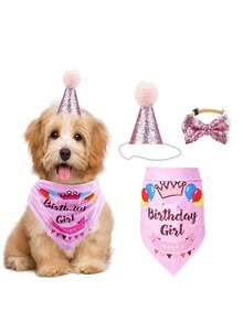 3pcs Pet Dog Birthday Hat, Dog Birthday Decorations, Dog Birthday Headband, Dog Birthday Party Supplies, Birthday Dog Costume Suitable For Small, Medium And Large Dogs And Cats, Dog Party Decorations - Multicolor - View 1