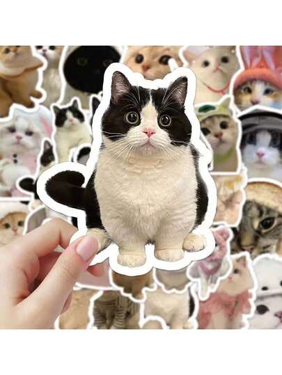 60pcs Cute Cat Stickers, DIY Cat Sticker Packs, Scrapbooking Stickers, Waterproof Small Stickers