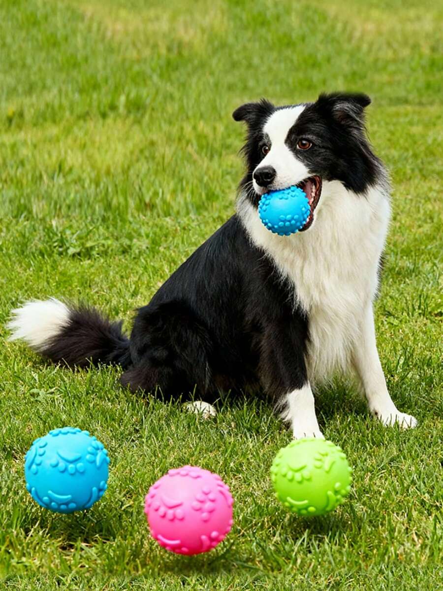 Paw Print Squeaky Ball Pet Chew Toy - Multicolor - View 1