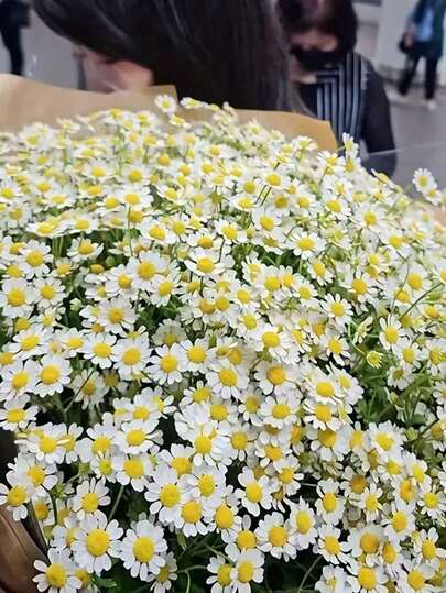 6支/60支白色和黄色人造雏菊花束，适合情人节、母亲节、复活节、婚礼季和DIY家居装饰、节日花卉装饰 | 装饰雏菊花束