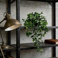 2 件人造植物（不含花盆），仿真吊兰蕨，仿真吊盆植物，仿真曼陀罗藤蔓蕨，绿色植物墙框，适用于家居、客厅、室内外装饰，适合室内、室外、客厅相框装饰、房间、厨房、家居、婚礼、卧室装饰。 - 綠色 - 查看 7