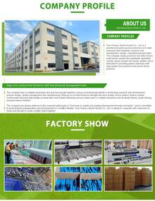 Approved Outdoor Leisure Sports Fiberglass Honeycomb Pickleball Paddle 16mm Thickness PP Material Racket With Net 2 Peak Ball Paddles, 4 Outdoor Peak Balls, 1 Portable Bag F7LQ - 紅色 - 查看 6