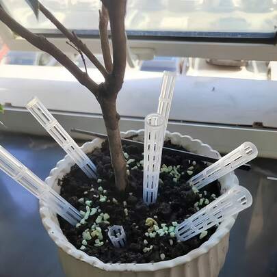 10/15/20 piezas Tubos de aireación transparentes para plantas - Tubos de ventilación de raíces livianos y duraderos, previenen la pudrición de las raíces, mejoran el drenaje, fáciles de instalar en interiores/exteriores, plantas en maceta, césped, semilleros, etc.