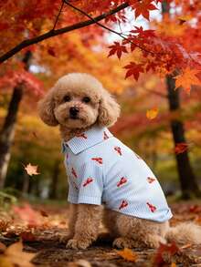 Camisa de gato con estampado de langosta a rayas, ropa ligera y transpirable para perros para primavera/verano - Celeste - Ver 4