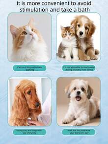 Găng tay dùng một lần cho thú cưng, khăn lau tắm cho chó, khăn lau vệ sinh cho mèo, đồ dùng cho thú cưng. Găng tay dùng một lần cho thú cưng, khăn ướt cho mèo và chó, sản phẩm vệ sinh đặc biệt, sản phẩm làm sạch lông thú cưng, khăn ướt khử mùi. - Xem 10