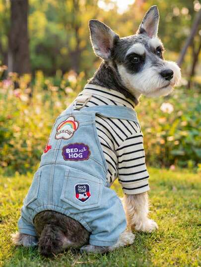 PETCIRCLE 1件宠物狗衣服，室内外皆宜，欧美韩风，适合贵宾犬、泰迪犬、小型犬和幼犬，休闲时尚可爱舒适的彩虹拼接连体衣