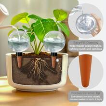 2个自吸水植物球，缓释陶瓷材质，透明水位指示器，适用于室内/室外盆栽植物，方便旅行和忙碌人士使用，植物浇水系统，时尚设计，经久耐用 - 圓球澆花器 - 查看 4