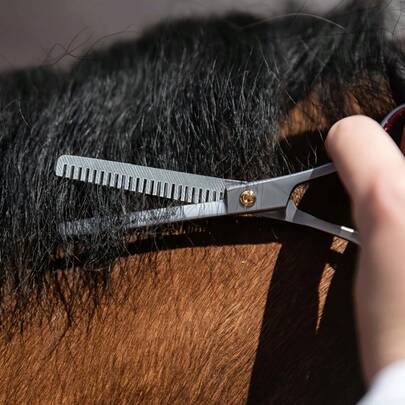 2PCS Horse Hair Trimming Tools, Fine Hair Trimming Set, Suitable For Veterinarians, Farms, Or Home Use - For Hair Trimming, Grooming, And Livestock Care