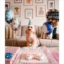 1pc Easter Bunny Carrot Dog & Scarf - Large Adjustable Tie Collar With Carrot And Parsley Pattern, Washable Soft Pet Apparel Suitable For Medium Dogs And Cats, Easter Party Outfit, Spring Pet (24.8x11 Inches) - Multicolor - View 4