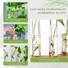 Euuztu 2 PCS Plant Propagation Station With Wooden Stand, Valentines Day Gifts, Glass Terrarium Vases Plants, Birthday Gifts Women Mom Plants Lovers, Home Office Garden Decor, 10 Tubes - Medium - 查看 4