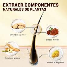 Shampoo tinte de jengibre color negro botella de 500ml, champú tinte negro 3 en 1 para teñir el cabello, cobertura de canas - Negro - Ver 6