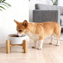 加高/加厚陶瓷狗碗，竹制支架，大理石纹防滑加重单碗宠物碗，适用于小型和中型猫咪，减少颈部压力。 - 大理石碗 - 查看 12