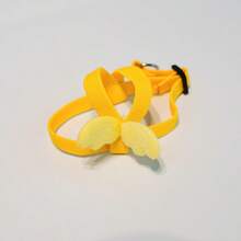 鹦鹉飞行单肩超轻牵引绳，牡丹凤头鹦鹉/长尾鹦鹉/虎皮鹦鹉/小鹦鹉行走牵引绳 - A+B - 查看 6