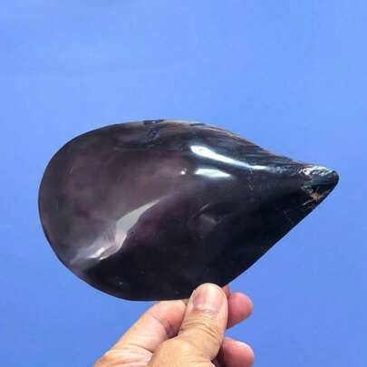 1PC Large-Sized Ink Colored Cowear Shell | Island Souvenir - Suitable For Fish Tank Landscaping Decoration, Aquarium Decoration Ornaments&Handmade DIY Materials, Mediterranean Style Home Decoration