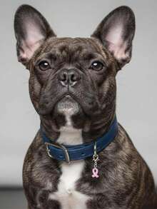 6个粉红丝带吊坠，带龙虾扣，癌症防治宣传合金吊坠，可用于钥匙链、钱包拉链头、手链夹式吊坠 - 彩色 - 查看 5