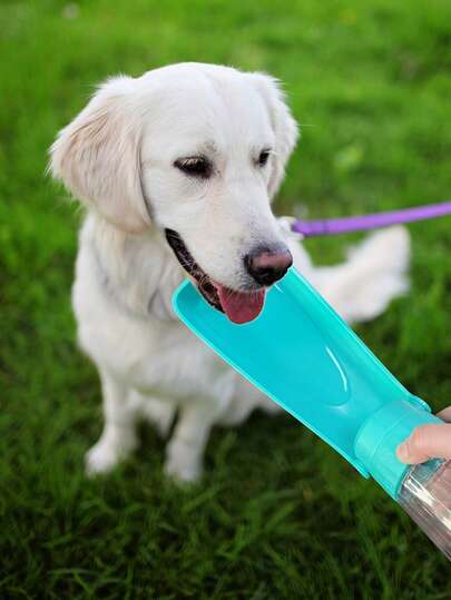 可折叠户外宠物狗水瓶，大容量便携式狗狗饮水器，适合中大型犬