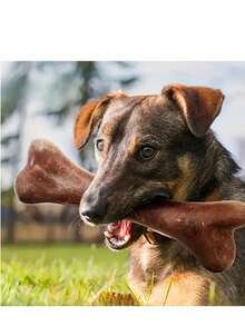 Chew Proof Dog Toy - Bone Shaped Interactive Chew Training Stick, Chewing Toy Suitable For All Dog Breeds - Interactive Dental Stick, Sturdy Polyethylene Material - Multicolor - View 3