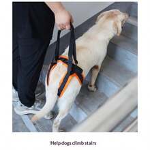 iDestry Adjustable Dog Lift Harness Sling For Dogs Hind Leg Support Soft Lift Rehab For Weak Rear Legs Helps Senior Injured Disabled Dog Helping Pets Walk - Orange - View 2