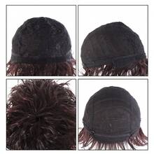Men's Adult Kinky Curly Wig, High Temperature Fiber, 150% Density, With Buckle Net Cap, For Party And Daily Wear, Wig Cap - Multicolor - View 5
