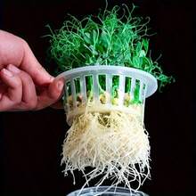 Bộ 12 giỏ trồng cây thủy canh - Chậu trồng cây bằng nhựa dùng cho việc làm vườn ban công tại nhà và sản xuất cây giống | Bộ dụng cụ thiết yếu để ươm cây con và trồng rau. - Giỏ trồng cây 12 chiếc - Xem 6