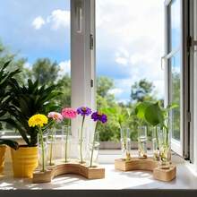 Euuztu 2 PCS Plant Propagation Station With Wooden Stand, Valentines Day Gifts, Glass Terrarium Vases Plants, Birthday Gifts Women Mom Plants Lovers, Home Office Garden Decor, 10 Tubes - Medium - 查看 10