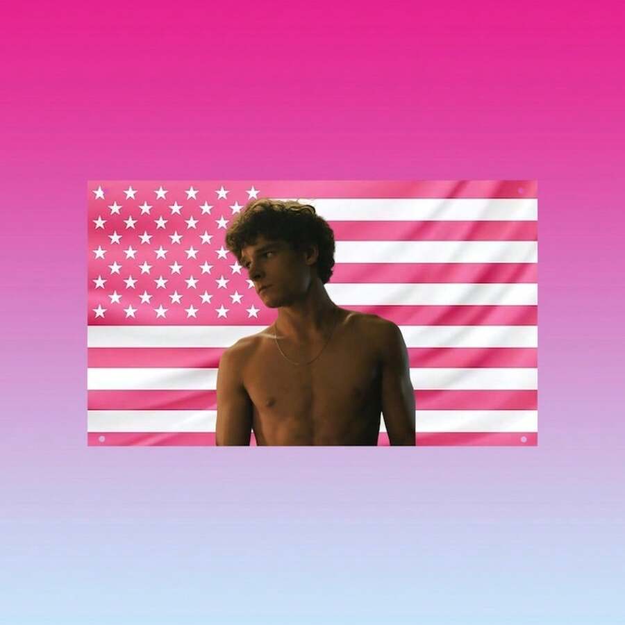 Bandera de Mason Thames, bandera de pared estética rosa, bandera de Mason Thames sin camisa, decoración de habitación de fan del actor - 1PC - Ver 1