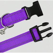 可调节反光尼龙狗项圈，适合大、中、小型犬 - 彩色 - 查看 6