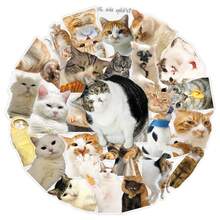 50pcs Cute Haji Cat Stickers, Abstract Funny Cartoon Decals For Water Bottle, Tablet, Laptop - View 6