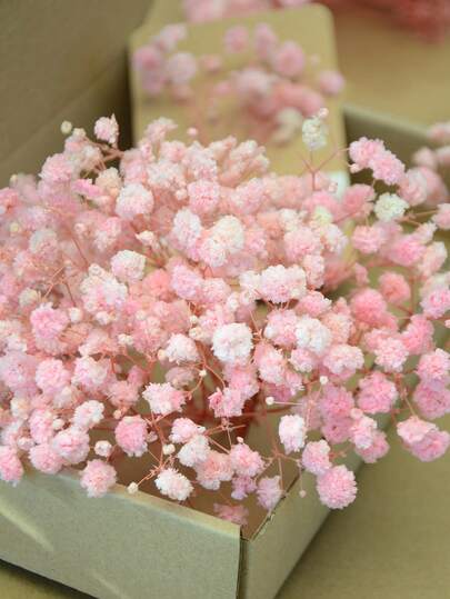 1盒迷你满天星及其他干花 - 适用于树脂模具工艺品，象牙白花束，可用于发饰、婚礼花环、桌面花瓶、家居装饰