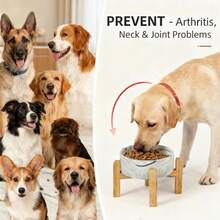 加高/加厚陶瓷狗碗，竹制支架，大理石纹防滑加重单碗宠物碗，适用于小型和中型猫咪，减少颈部压力。 - 大理石碗 - 查看 7