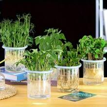 Bộ 12 giỏ trồng cây thủy canh - Chậu trồng cây bằng nhựa dùng cho việc làm vườn ban công tại nhà và sản xuất cây giống | Bộ dụng cụ thiết yếu để ươm cây con và trồng rau. - Giỏ trồng cây 12 chiếc - Xem 5