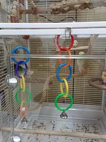 1pc Parrot 3-Color/5-Color Ring Cage Accessory, Climbing DIY Round Ring Frame, Chew Toy For Parrots And Other Pet Birds, Colors Random - View 3