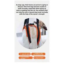 iDestry Adjustable Dog Lift Harness Sling For Dogs Hind Leg Support Soft Lift Rehab For Weak Rear Legs Helps Senior Injured Disabled Dog Helping Pets Walk - Orange - View 7