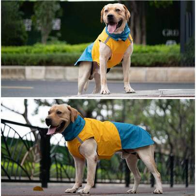 Dog Waterproof/Windproof/Warm Colorblock Windbreaker, Fashionable Explosion-Proof Colorblock Design