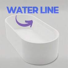 1 Set Scallion Regrowth Kit - No Skills Needed, Easy Home Scallion Planting | Suitable For Balcony, Windowsill & Small Spaces Compact System | Fast Scallion Regrowth - A - View 2