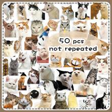 50pcs Cute Haji Cat Stickers, Abstract Funny Cartoon Decals For Water Bottle, Tablet, Laptop - View 8