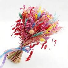 Ramo de hierba de pampa seca roja, bricolaje, cola de conejo, hierba de junco, relleno para jarrón, decoración de mesa de granja para el hogar - 1 manojo - Ver 7