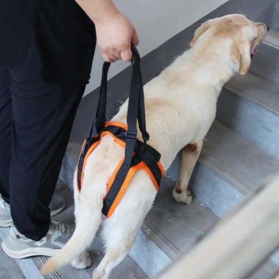 iDestry Adjustable Dog Lift Harness Sling For Dogs Hind Leg Support Soft Lift Rehab For Weak Rear Legs Helps Senior Injured Disabled Dog Helping Pets Walk - Orange - View 1