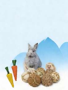 Rabbit Hamster Chew Toy Set, Woven Grass And Luffa Chew Toys For Chinchillas, Guinea Pigs And Small Animals - View 3