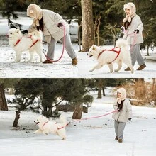 大型犬反光雪橇背带 - 可调节防震尼龙背心，带背部支撑垫，雪橇板犬背带 - 彩色 - 查看 12