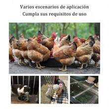 Malla Gallinera Malla De Acero Galvanizado 10mx100cmx1.3cm - Gris - Ver 2