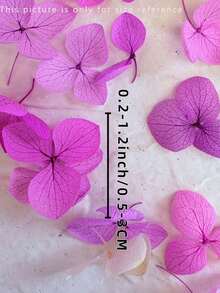 100/200/500/1000pcs Multicolour Hydrangea Dried Flowers Head-Perfect For DIY Crafts,Candles,Weddings,Diy Handmade,Christmas - Royal Blue - View 5