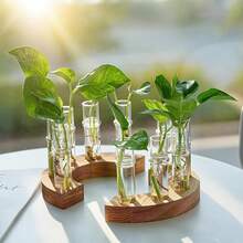 Euuztu 2 PCS Plant Propagation Station With Wooden Stand, Valentines Day Gifts, Glass Terrarium Vases Plants, Birthday Gifts Women Mom Plants Lovers, Home Office Garden Decor, 10 Tubes - Medium - 查看 7