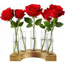 Euuztu 2 PCS Plant Propagation Station With Wooden Stand, Valentines Day Gifts, Glass Terrarium Vases Plants, Birthday Gifts Women Mom Plants Lovers, Home Office Garden Decor, 10 Tubes - Medium - 查看 2