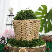 [30/50/60/80/90/100/120/160/200/230/250g] Rêu nhân tạo trang trí - Cây xanh sống động như thật - Bộ sản phẩm - Thích hợp cho tiểu cảnh, trang trí cửa sổ và bố cục thiết kế, rêu nhân tạo sinh học, trang trí tiểu cảnh rêu xanh, cây xanh tự làm cho bãi cỏ, chậu cây cảnh, trang trí sân vườn ngoài trời. - Màu xanh lá cây đậm - Xem 5