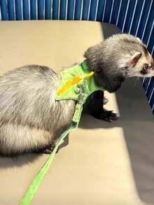 Juego de arnés y correa suave de malla con diseño de dinosaurio lindo para mascotas pequeñas, con campana de , tamaño ajustable, adecuado para pasear animales pequeños (hurones, conejos, conejillos de indias, ardillas) a diario - Multicolor - Ver 8