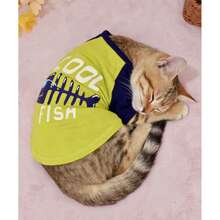 1 pieza Ropa para mascotas Camiseta de hueso de pescado delgada para Poodle pequeño/mediano, Teddy, uso en primavera/otoño para perro/gato, Camiseta raglán de pescado verde menta - Verde - Ver 8